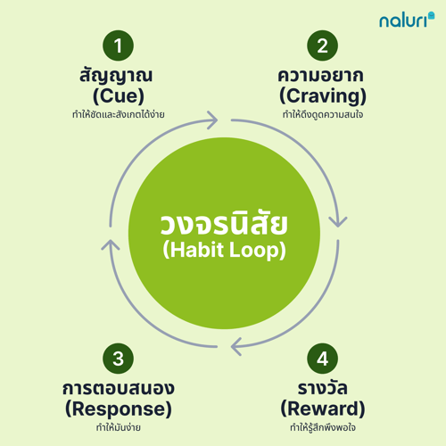(TH) Habit loop diagram