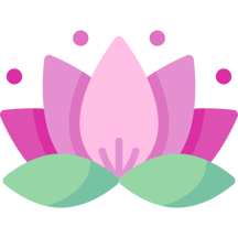 lotus (1)
